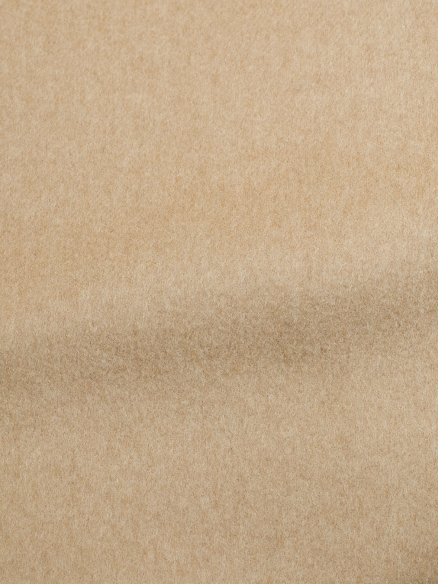 Salvatore Ferragamo Light Brown Guanaco Overcoat