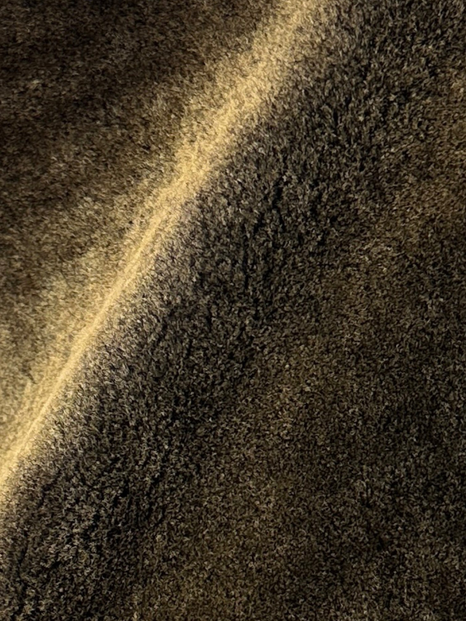 Ermenegildo Zegna Leather Shearling Coat