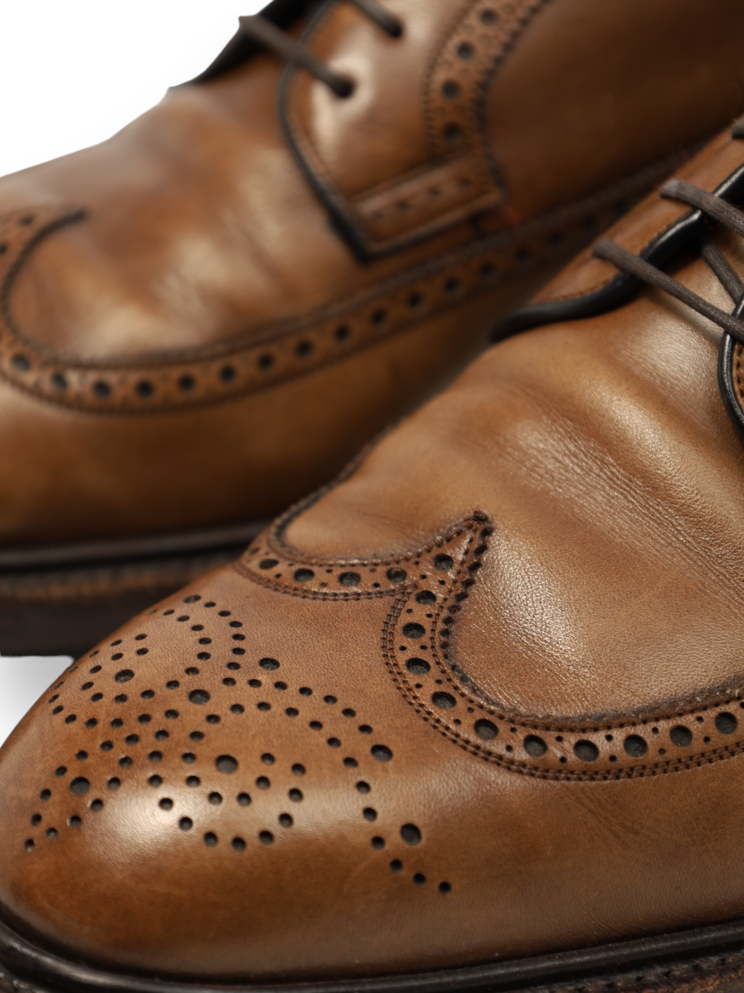 Carmina Brown Derby Brogue Lace-ups