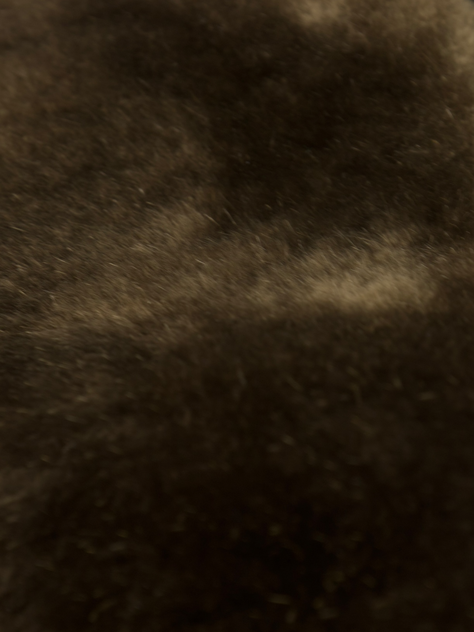 Doriani Cashmere Taupe Cashmere & Castorino Beaver Fur Knitwear