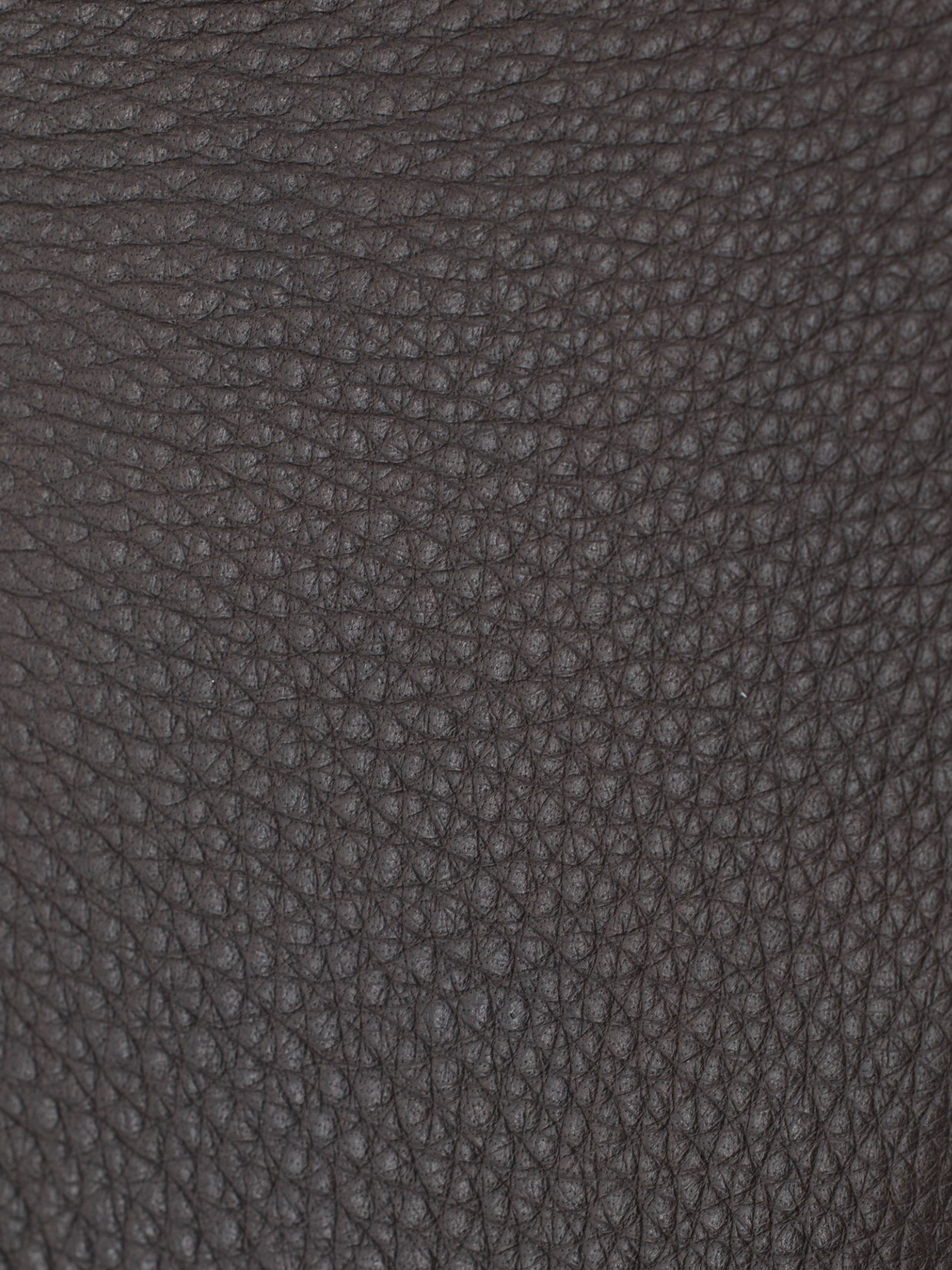 Doriani Dark Brown Grain Leather Blouson Jacket