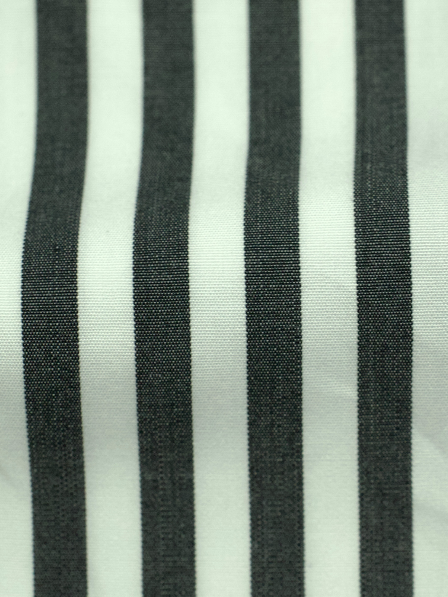 Fray Black & White Bengal Stripe "Arizona" Button-Down Collar Shirt