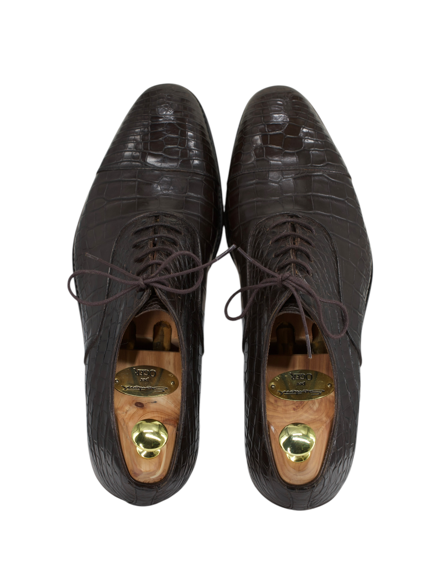 Brioni Dark Brown Mississippi-Alligator Captoe-Oxford + Belt