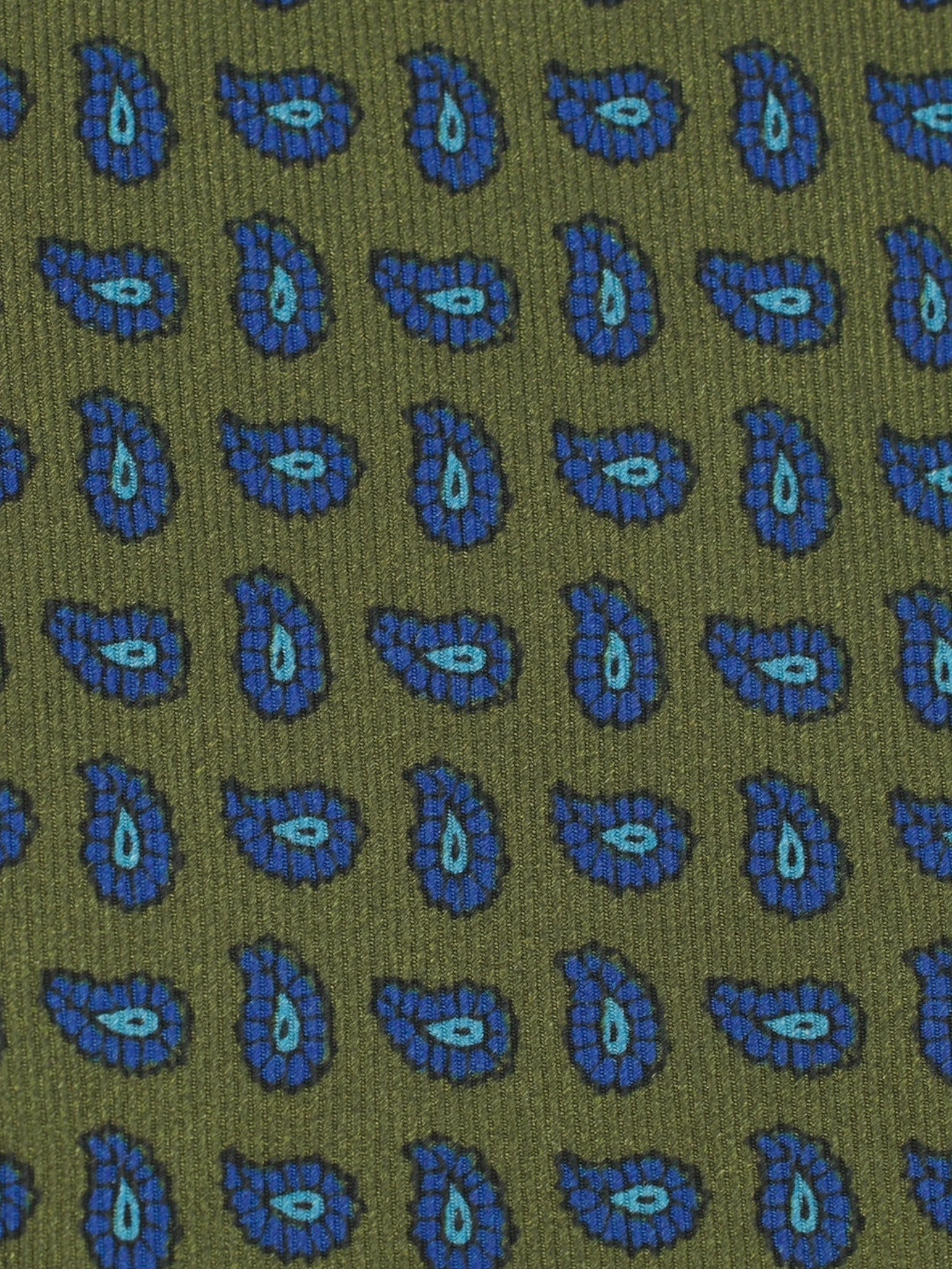 Cesare Attolini Green & Blue Silk Paisley Tie